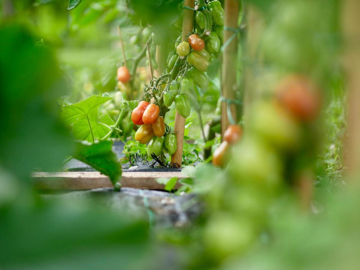 리바 델 이탈리아 베로나 Agriturismo Casa Di Campagna 빌라 외부 사진