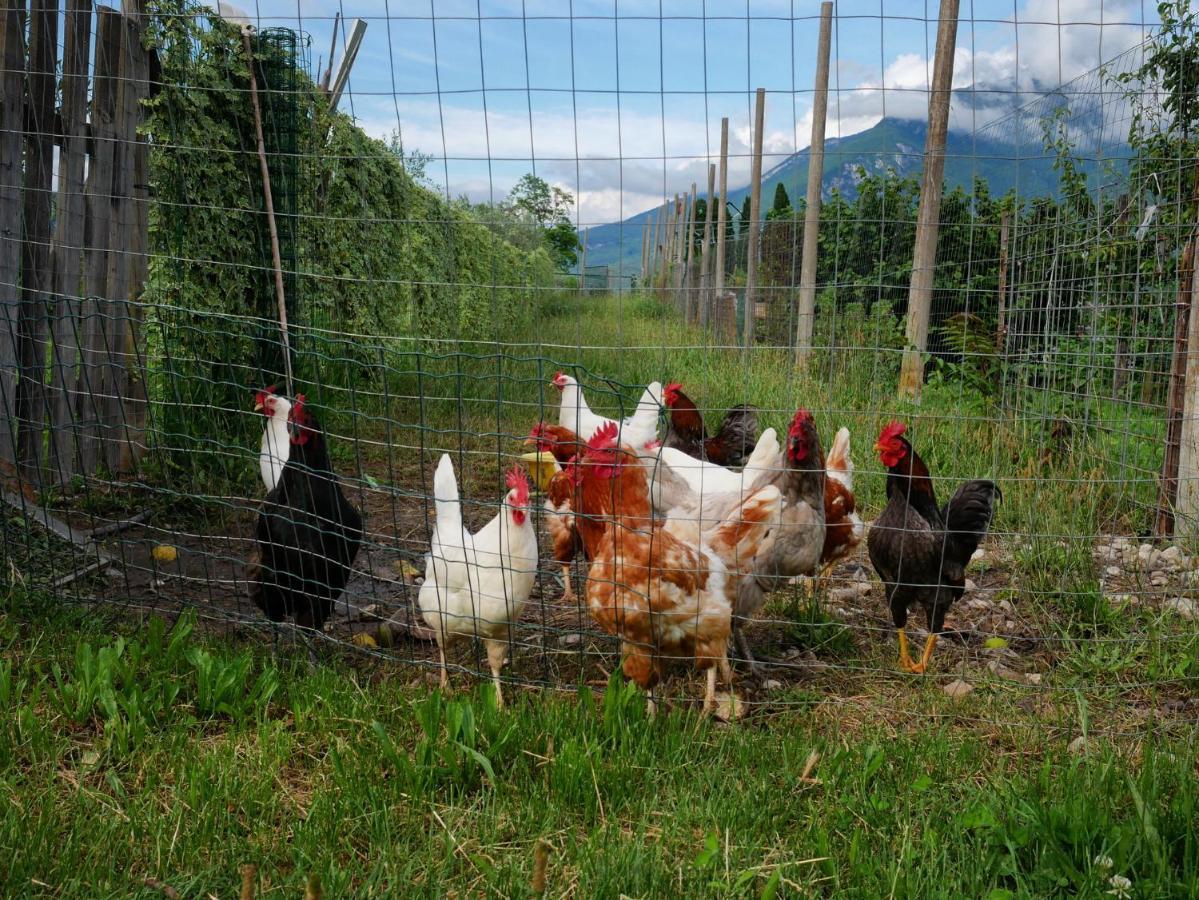 리바 델 이탈리아 베로나 Agriturismo Casa Di Campagna 빌라 외부 사진