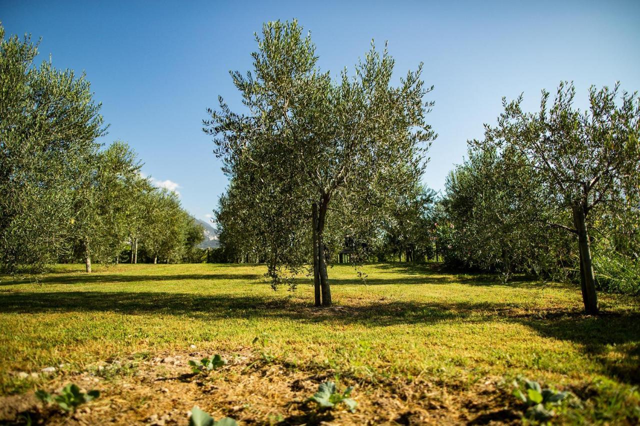 리바 델 이탈리아 베로나 Agriturismo Casa Di Campagna 빌라 외부 사진