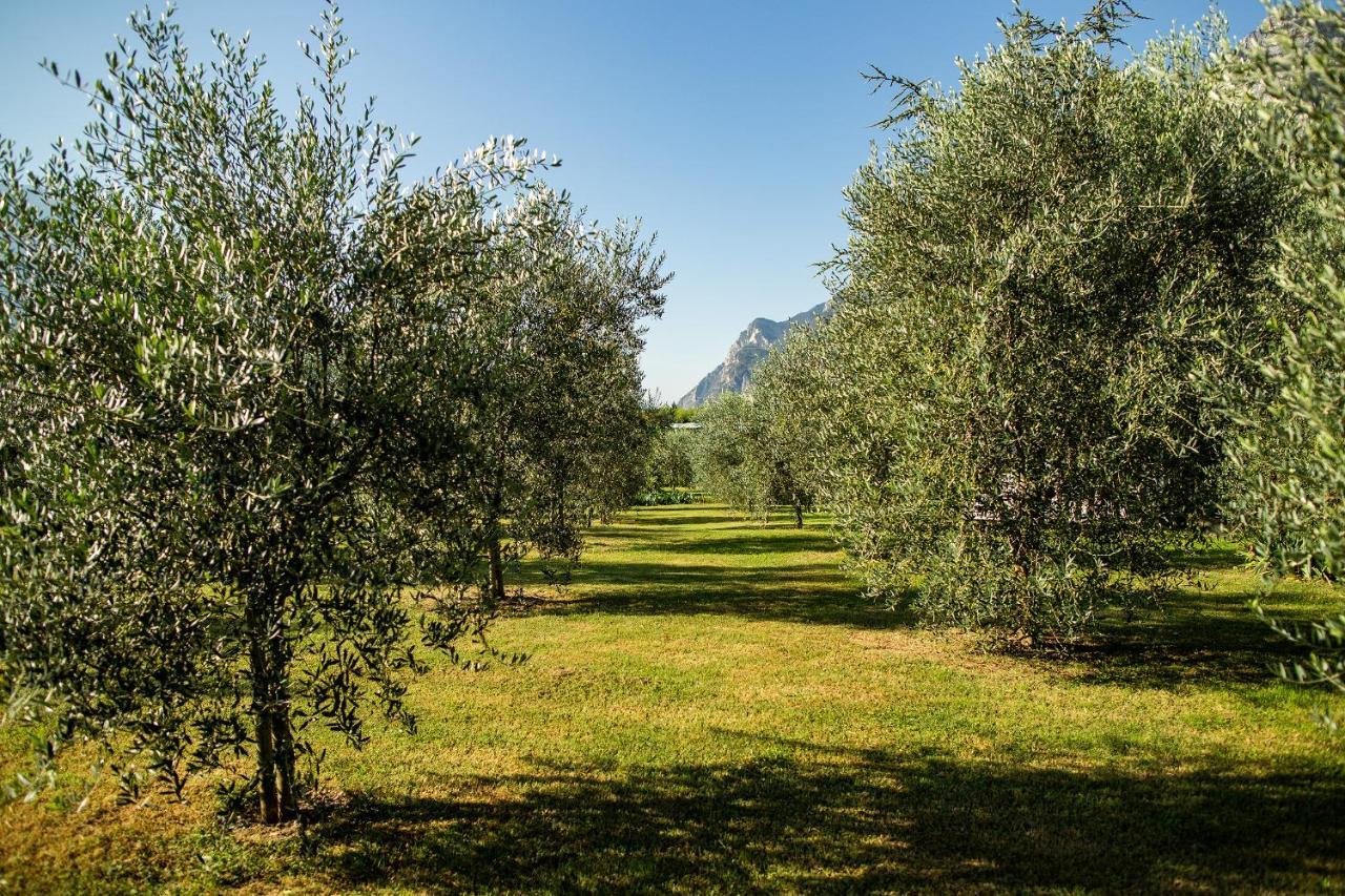 리바 델 이탈리아 베로나 Agriturismo Casa Di Campagna 빌라 외부 사진