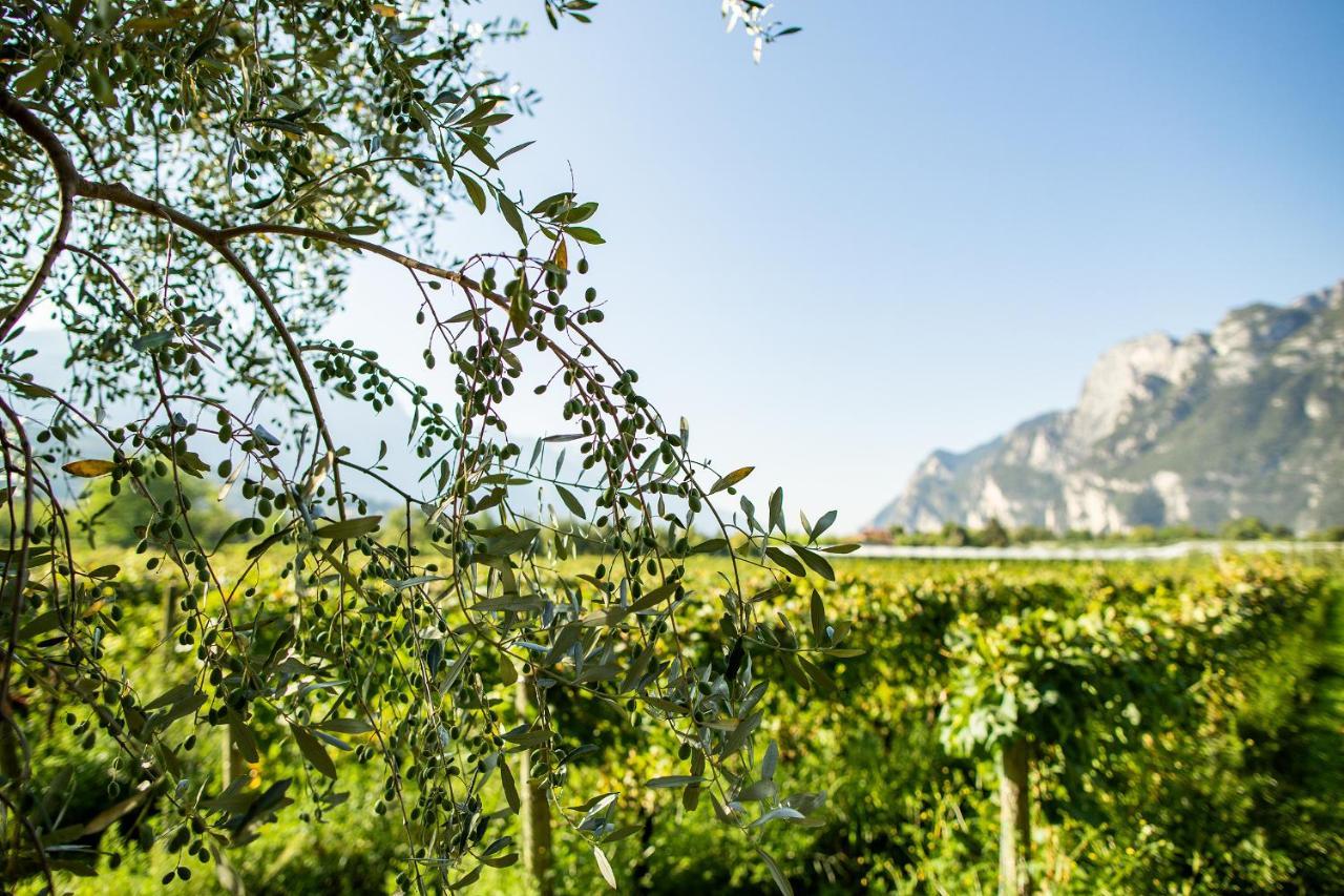 리바 델 이탈리아 베로나 Agriturismo Casa Di Campagna 빌라 외부 사진